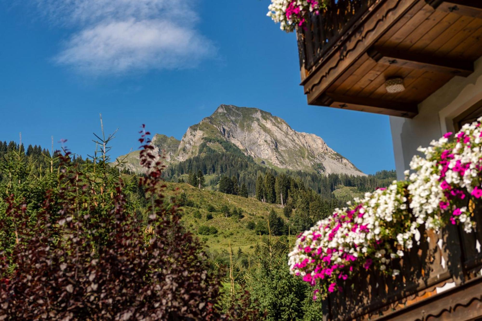 Apartment Unterbergerin Dorfgastein