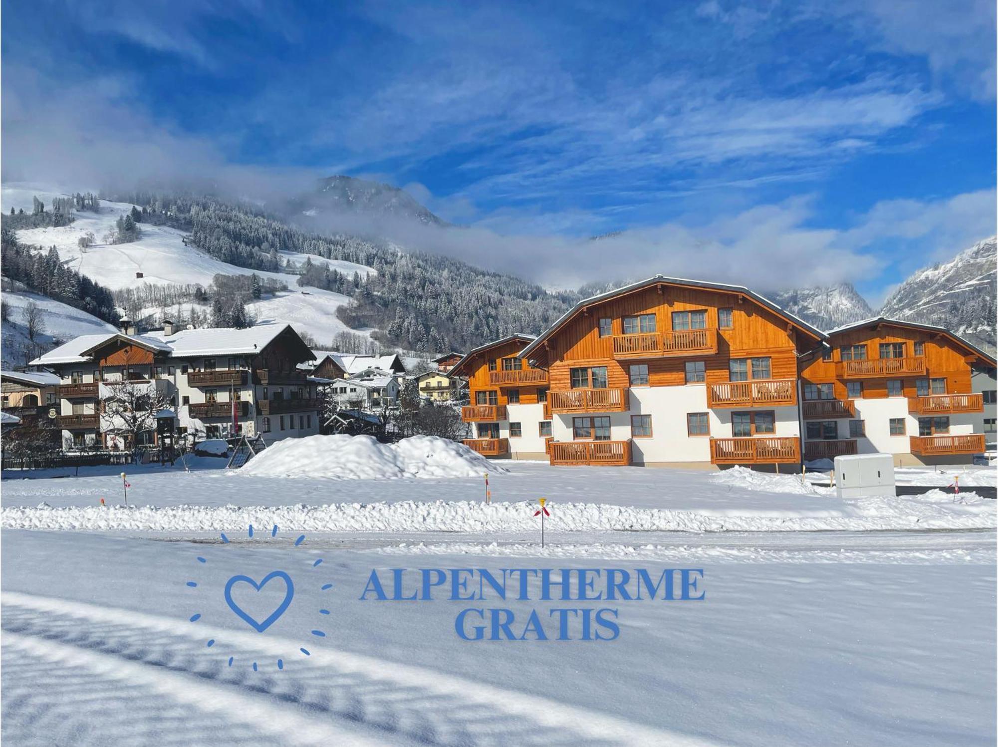 Apartment Unterbergerin 4*