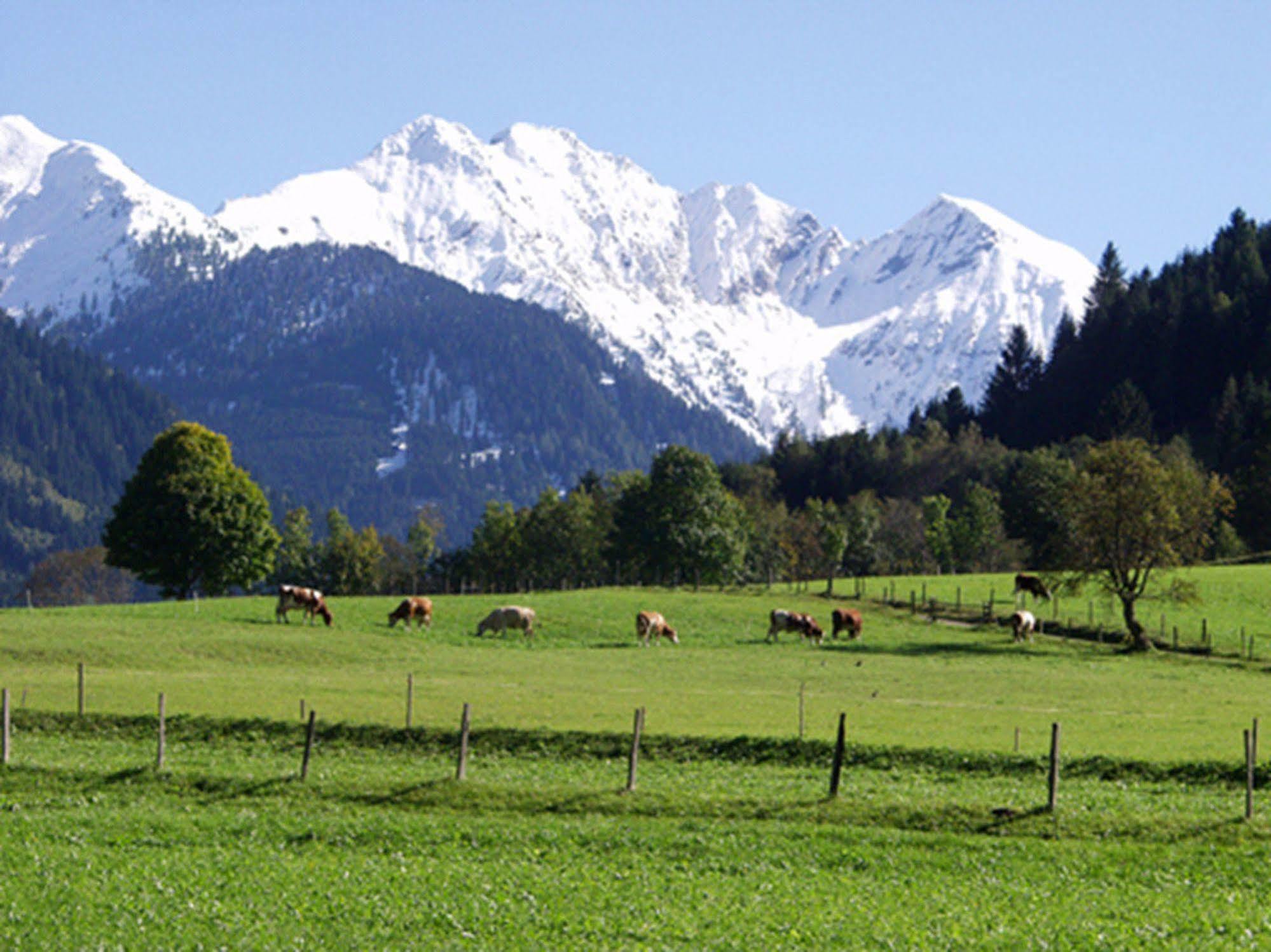 Unterbergerin Dorfgastein
