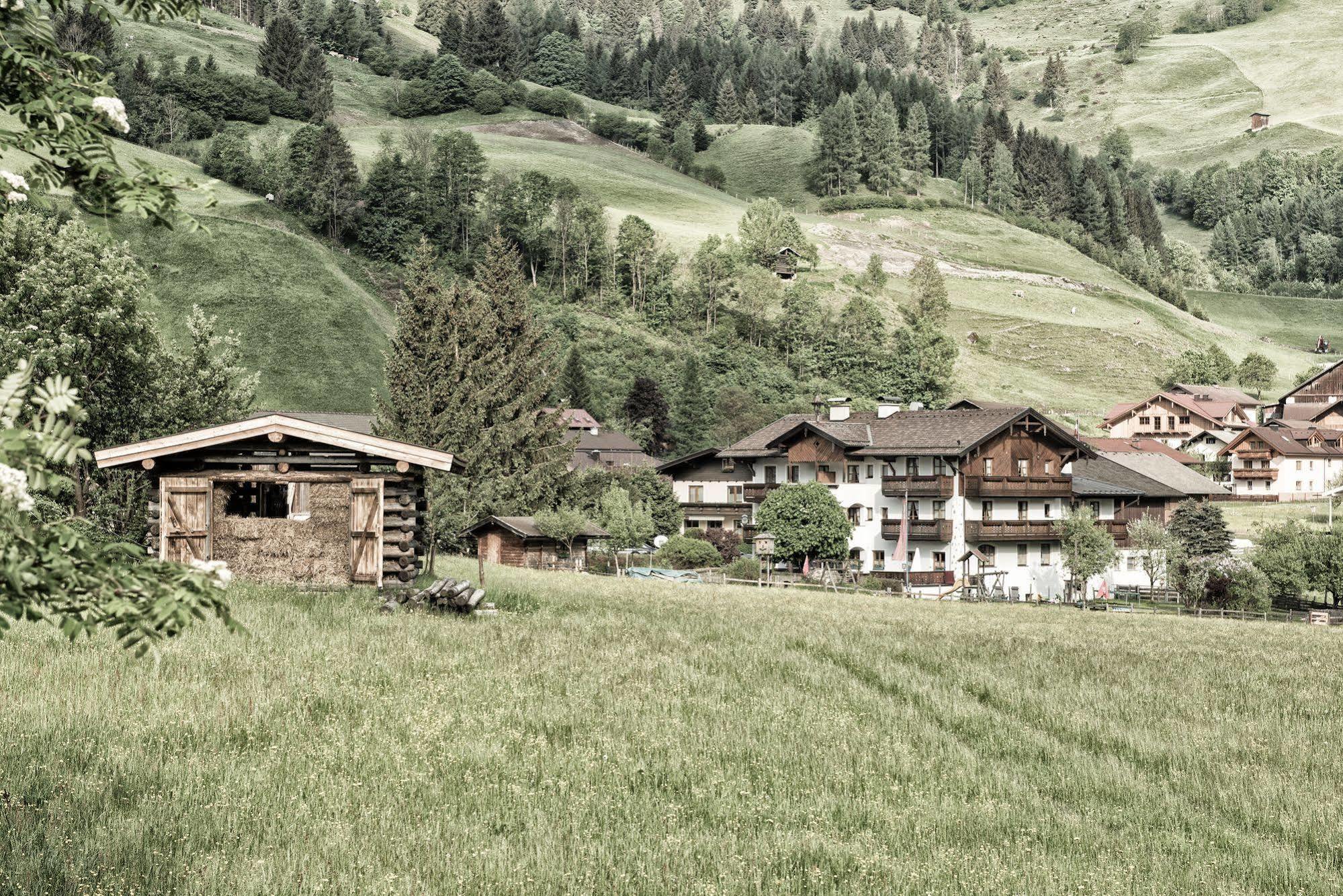 Unterbergerin 4* Dorfgastein